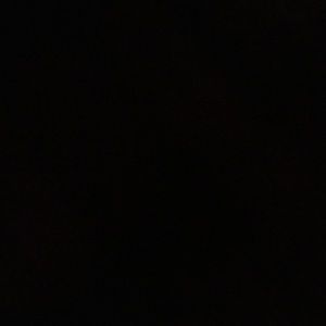 Meet your Posher, Mila